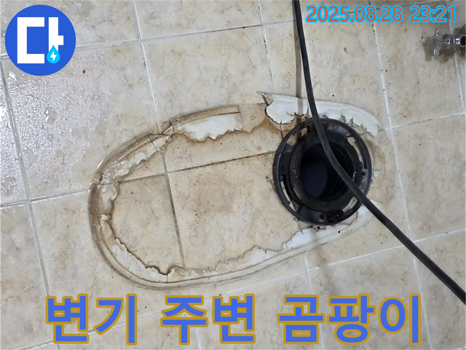 변기 주변 곰팡이 - 건강 위협