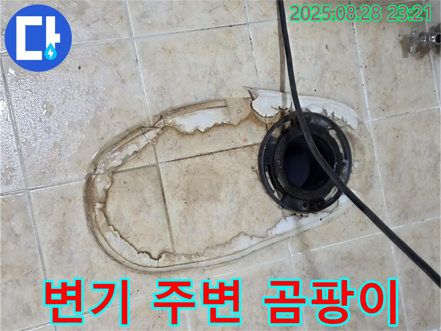 변기 주변 곰팡이 - 건강 위협