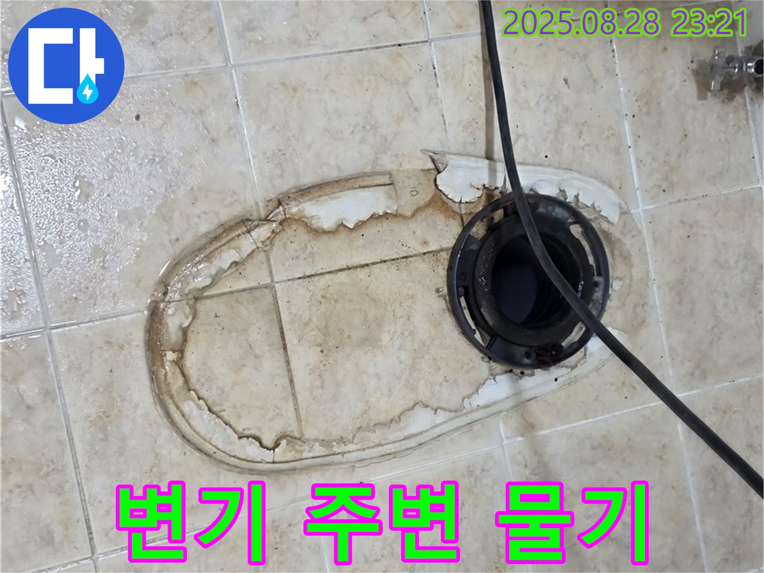 변기 주변 물기 - 곰팡이 위험