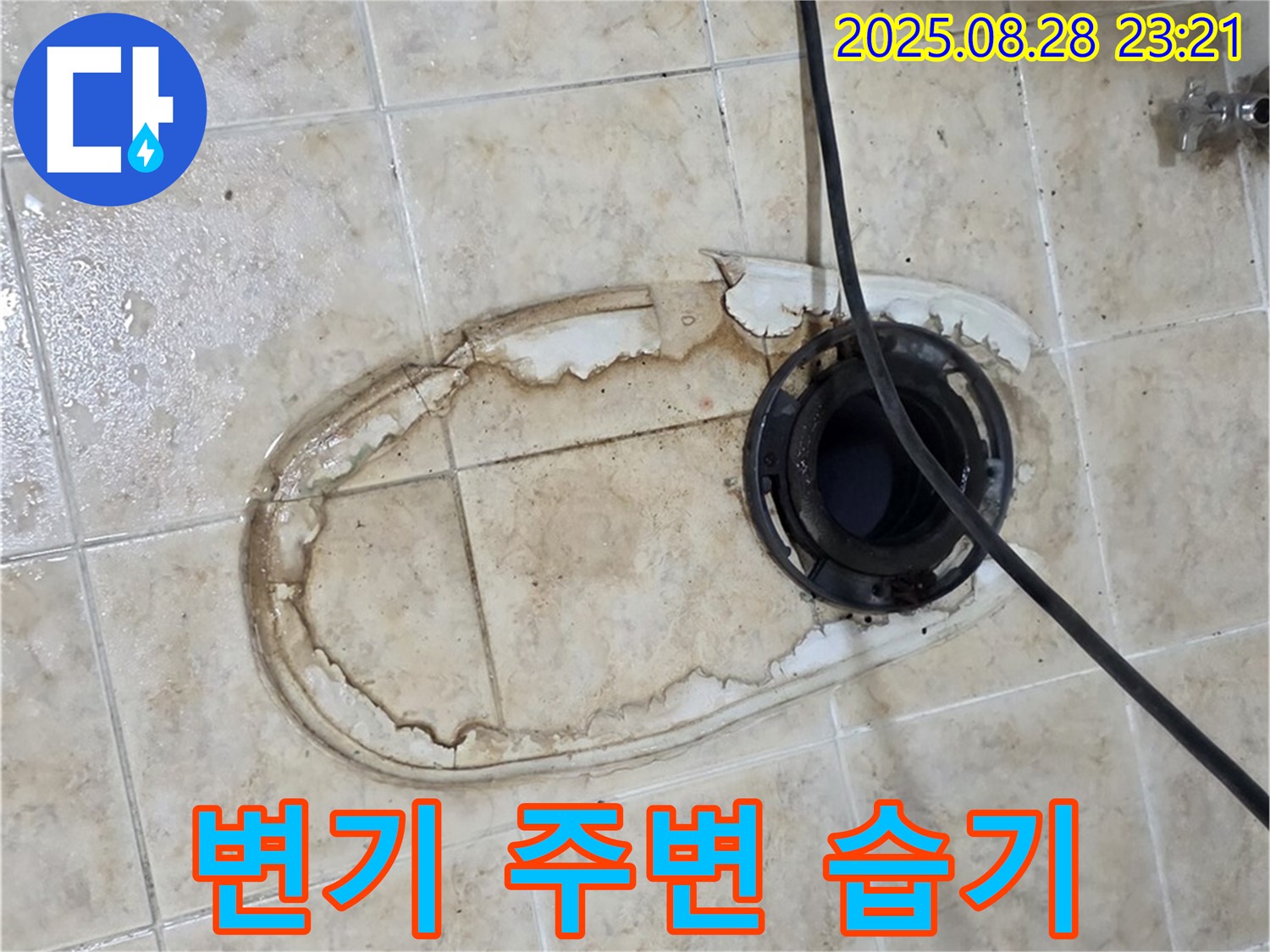 변기 주변 습기 - 곰팡이 위험
