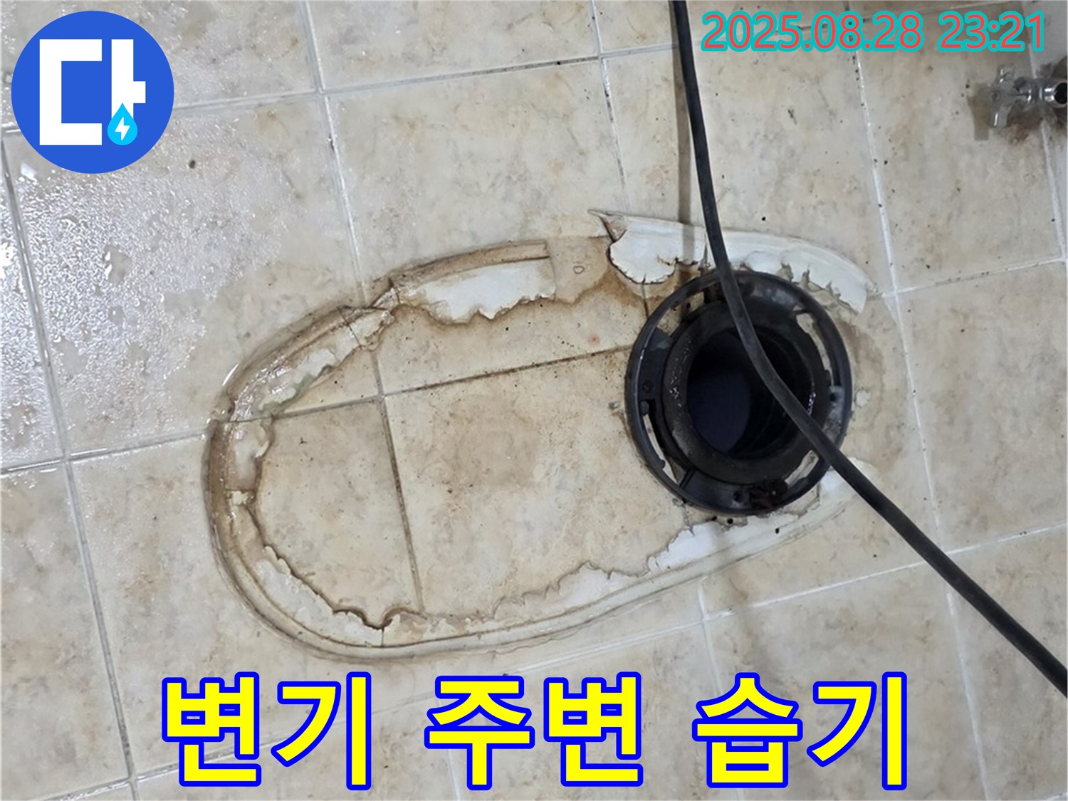 변기 주변 습기 - 곰팡이 위험