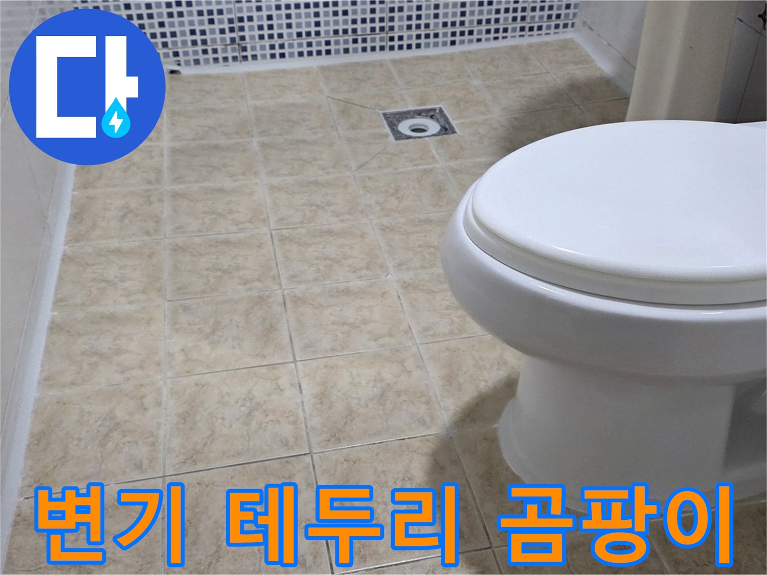 변기 테두리 - 곰팡이 제거 및 실리콘 재시공