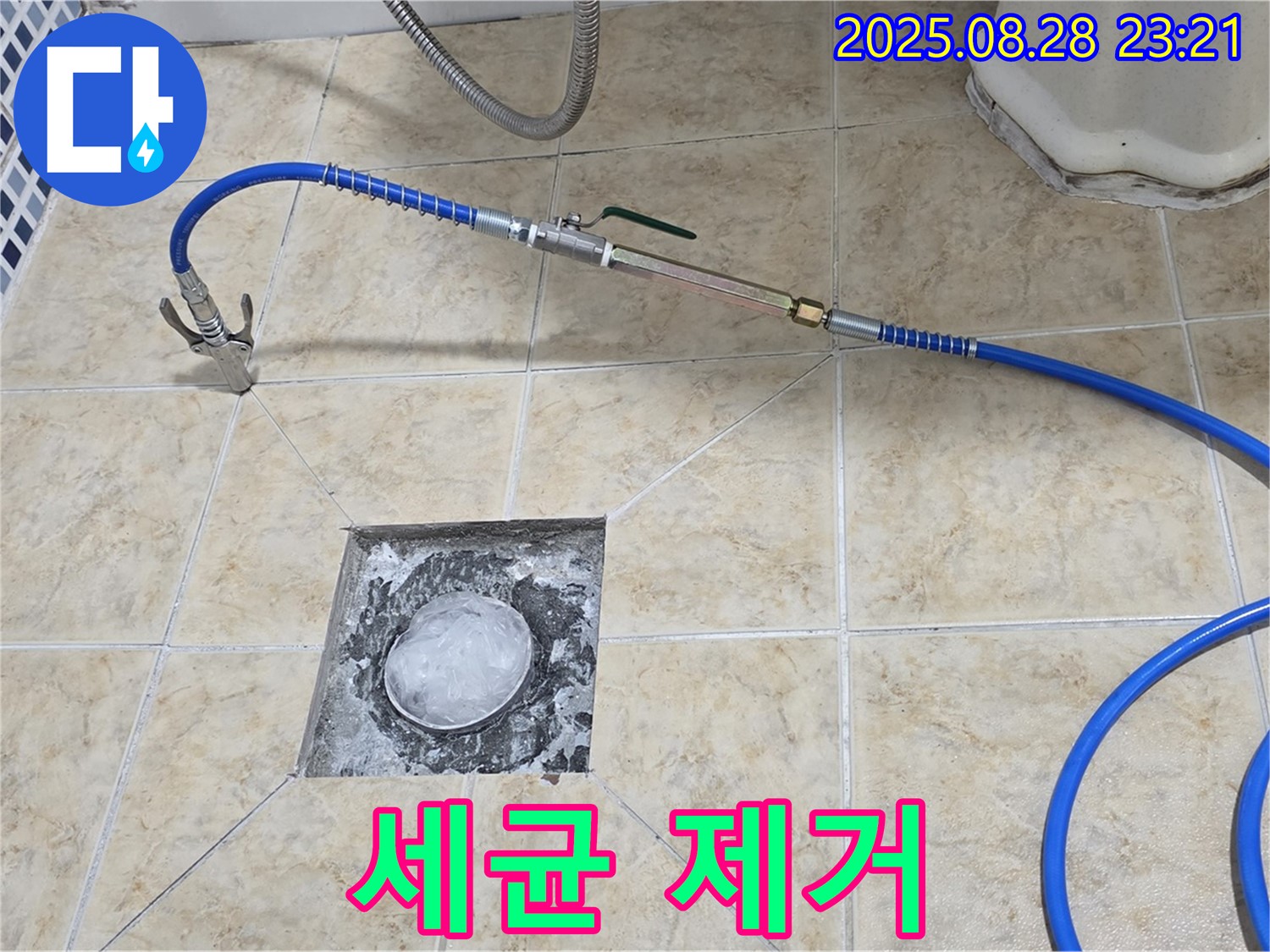 세균 제거 - 배수구 세균을 깨끗하게 제거