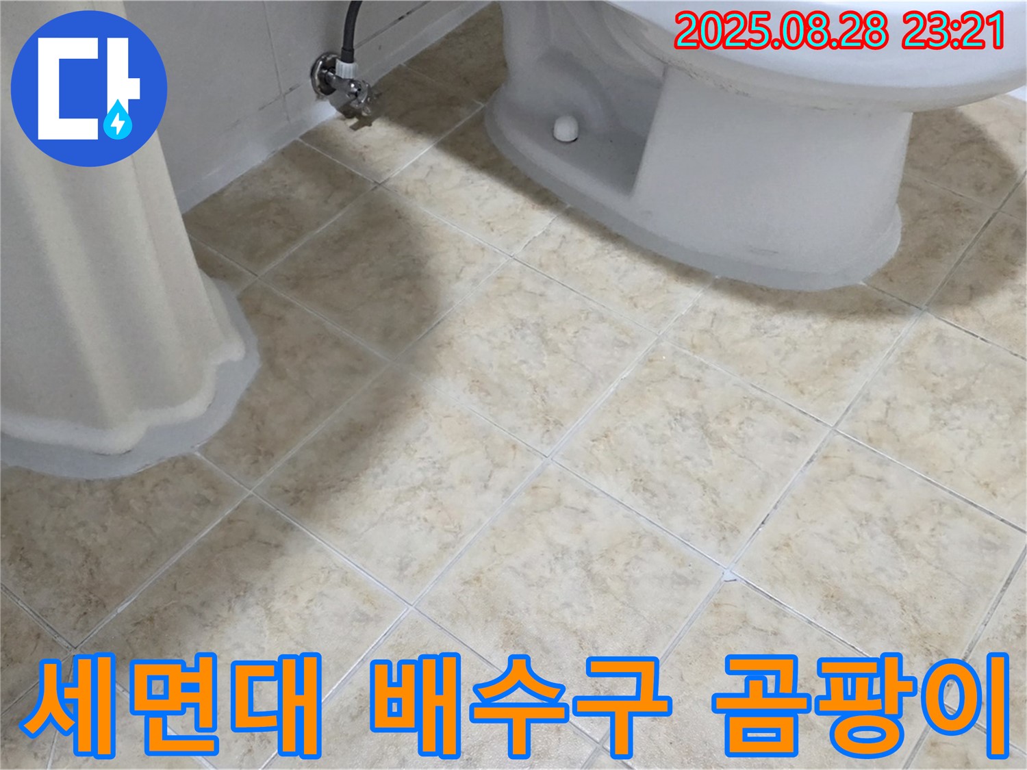 세면대 배수구 - 주변 - 곰팡이