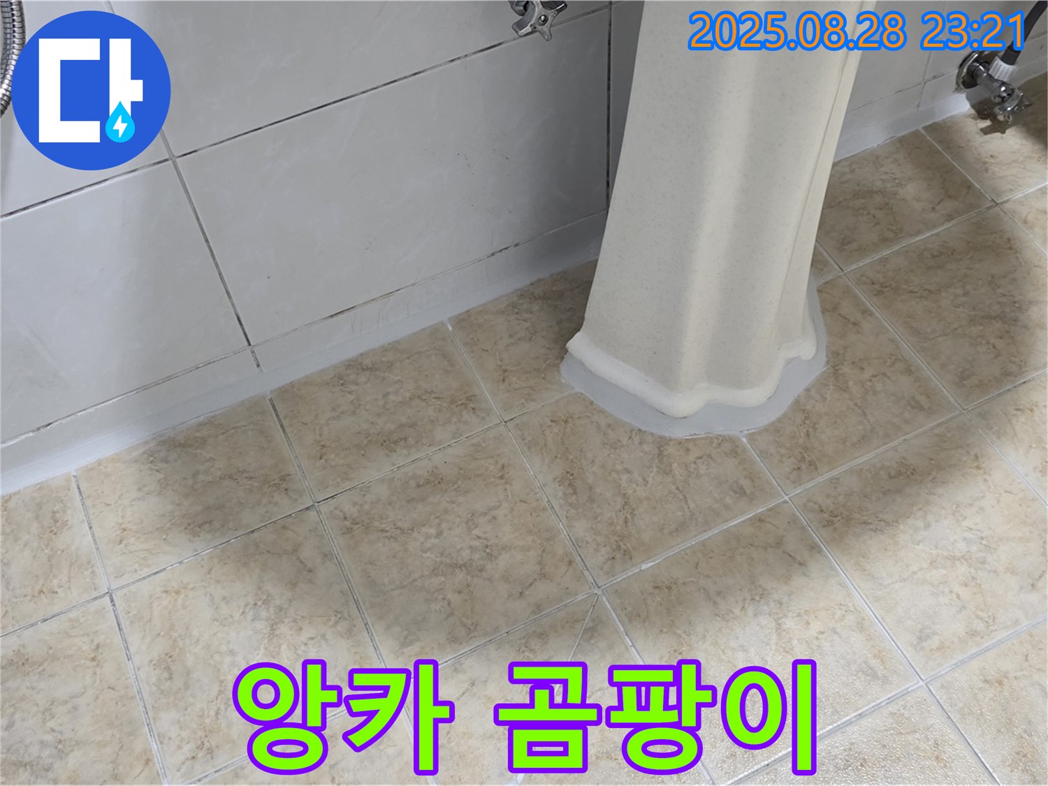 세면대 앙카 주변 곰팡이 - 누수 가능성 점검 및 곰팡이 제거