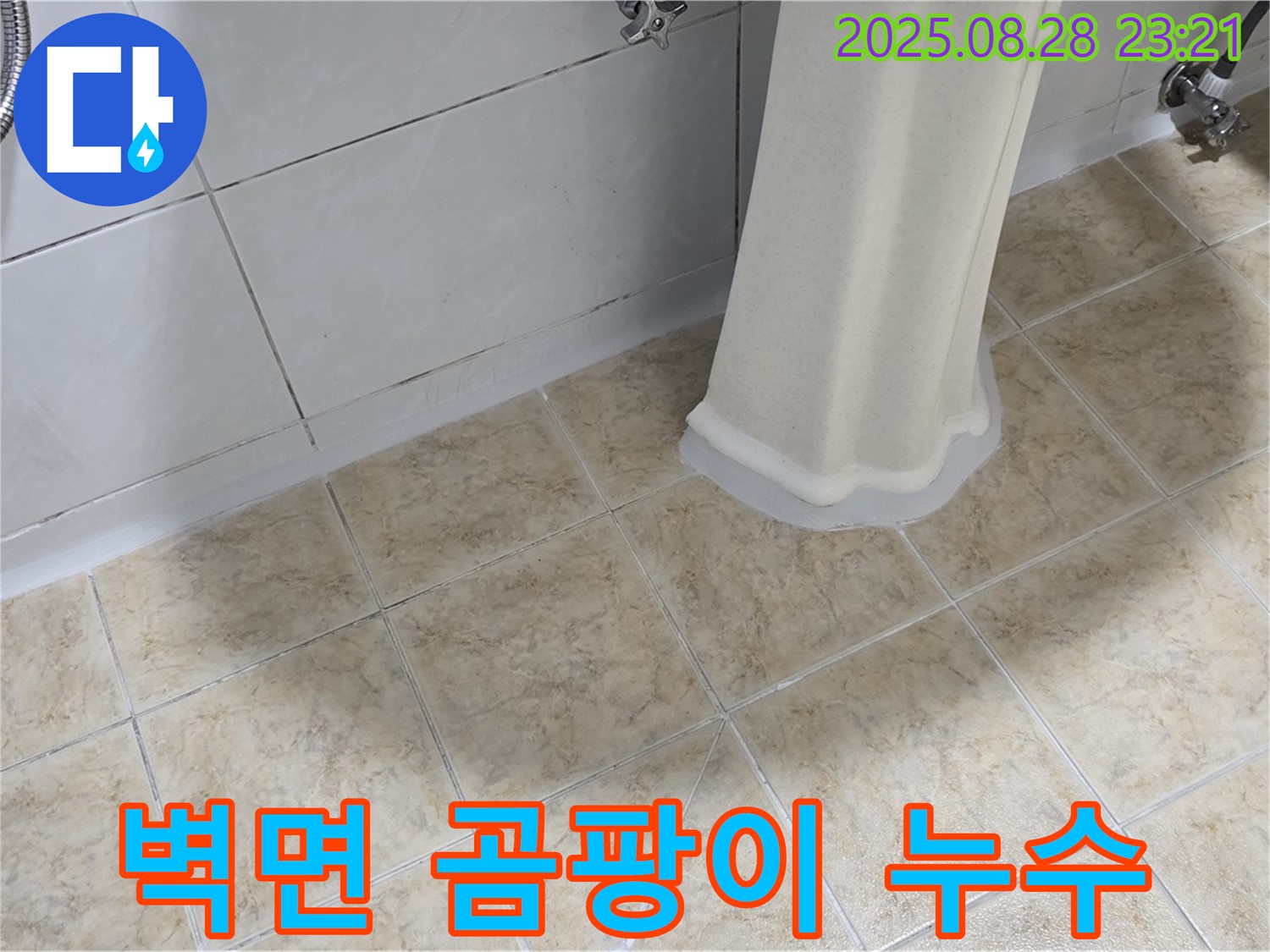 세면대 주변 벽면 곰팡이 - 누수 가능성 점검 및 곰팡이 제거