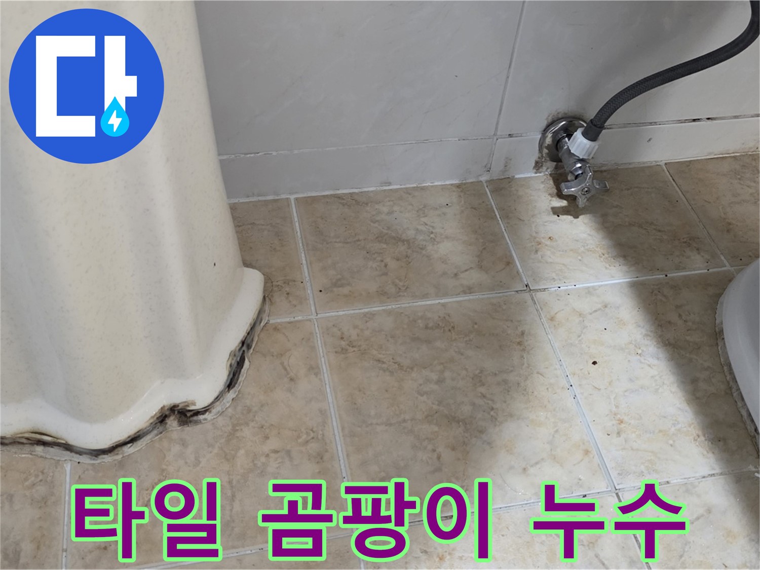 세면대 주변 타일 곰팡이 - 습기 - 누수 의심