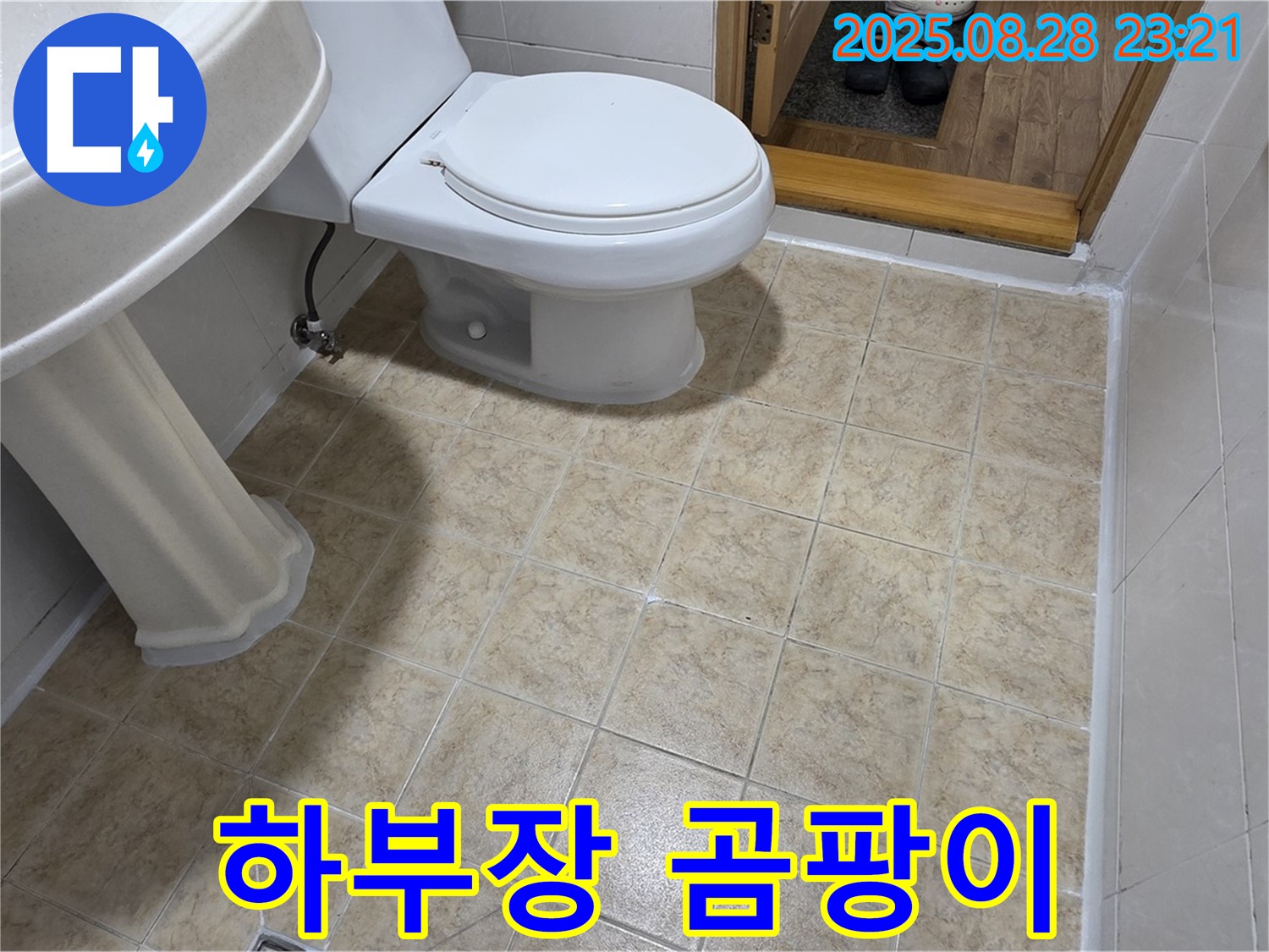 싱크대 하부장 곰팡이 - 습기 누적