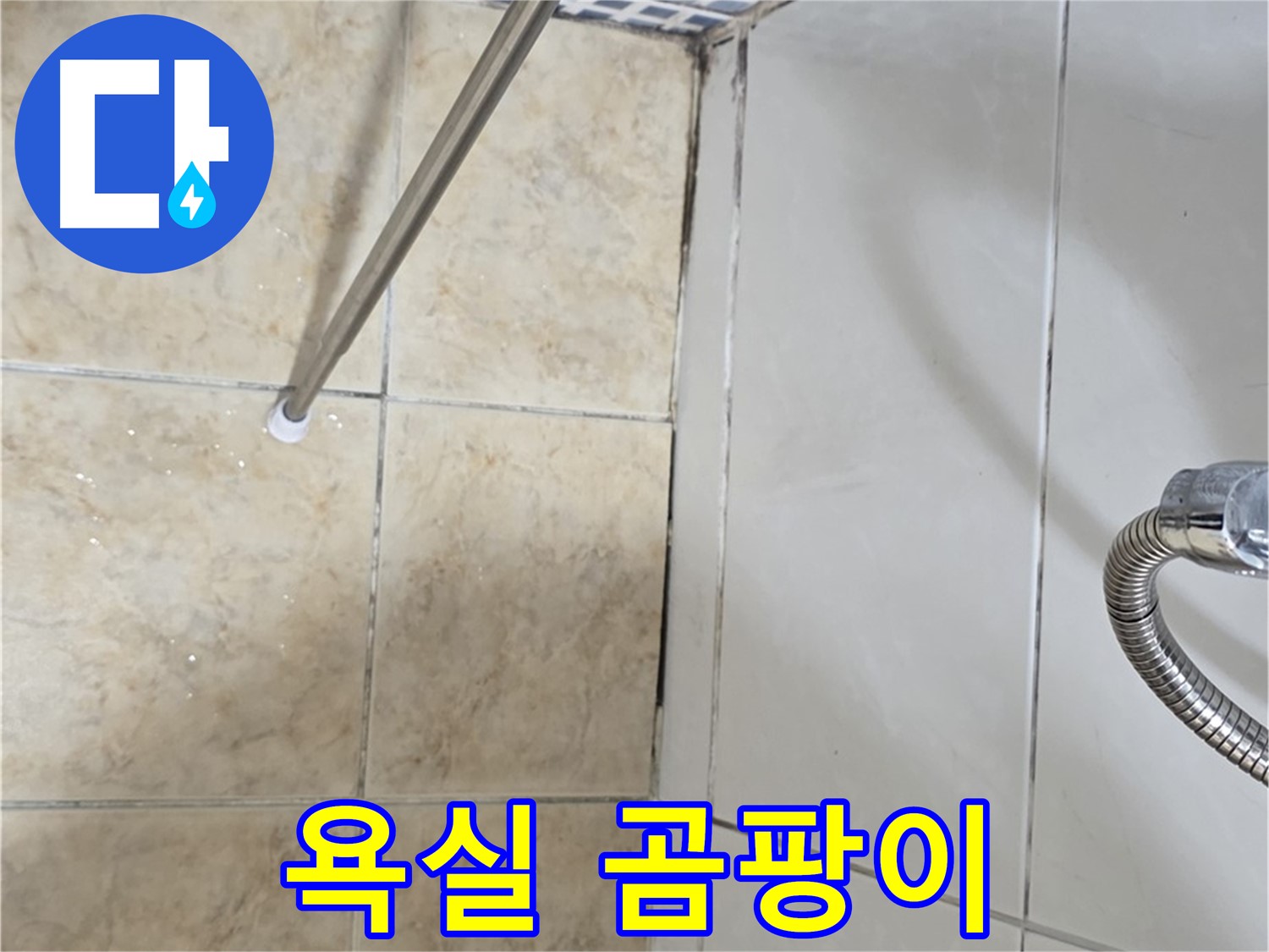 욕실 곰팡이 - 건강 - 누수 - 빠른 해결