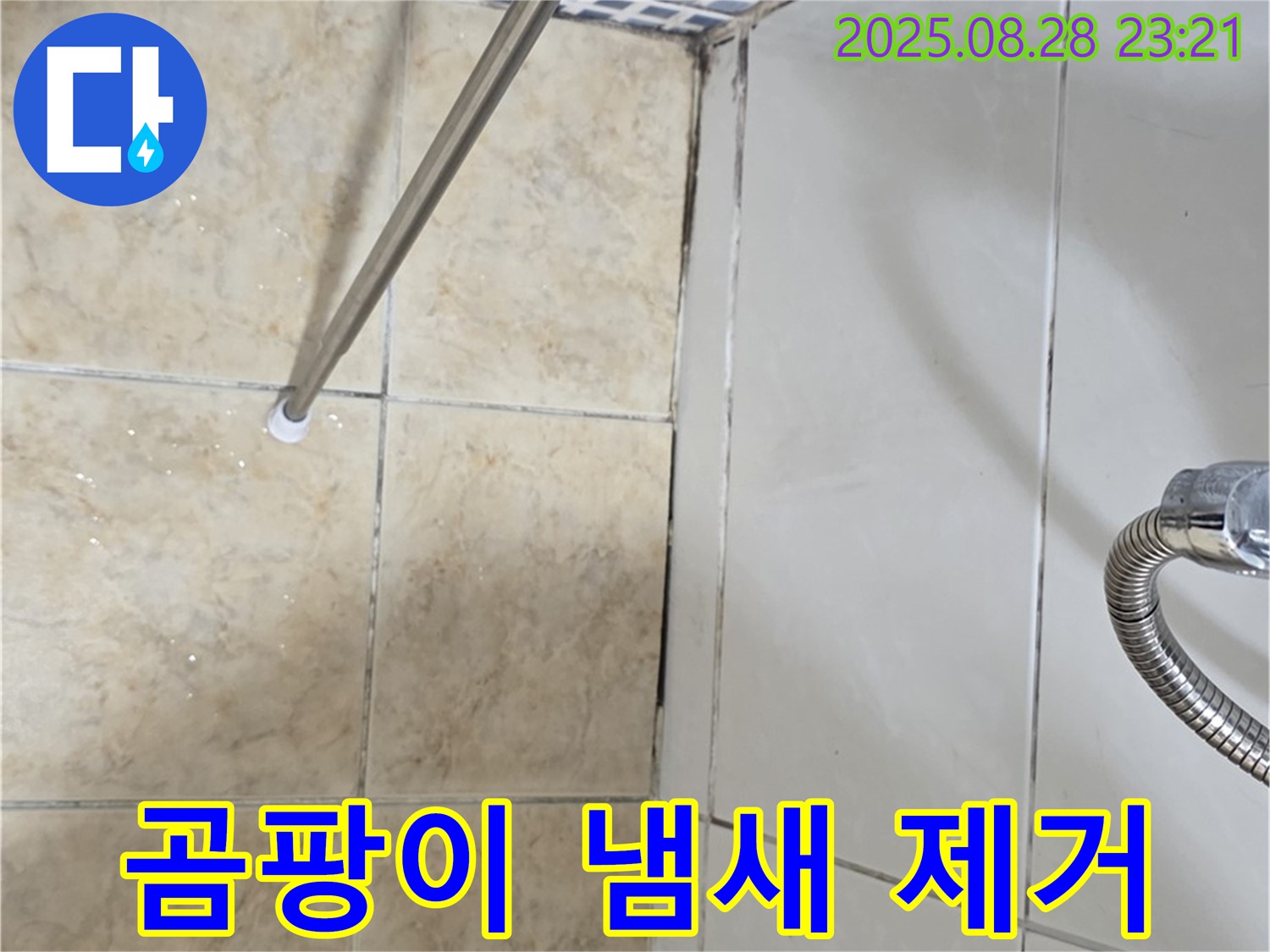 욕실 곰팡이 - 곰팡이 냄새까지 완벽 제거