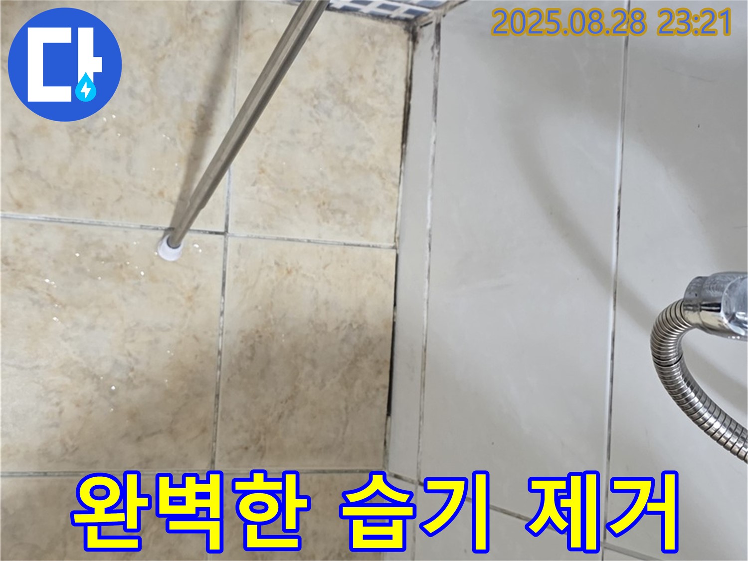 욕실 곰팡이 - 완벽한 습기 제거 작업