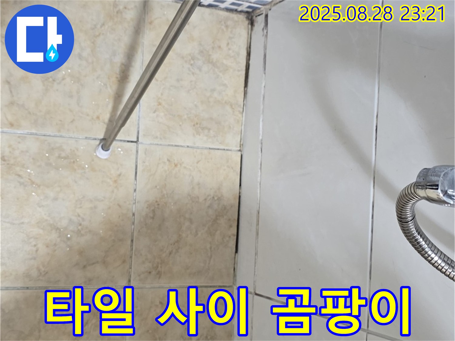 욕실 곰팡이 - 타일 사이 곰팡이까지 말끔하게 제거