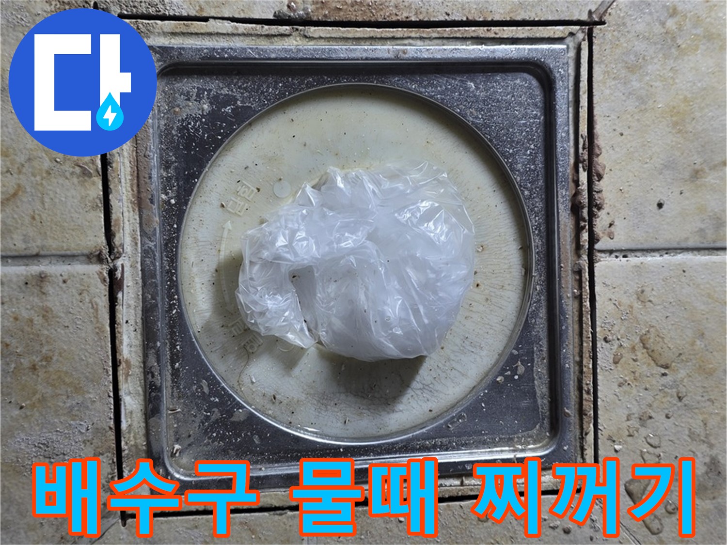 욕실 배수구 물때와 찌꺼기 - 누수 가능성 점검