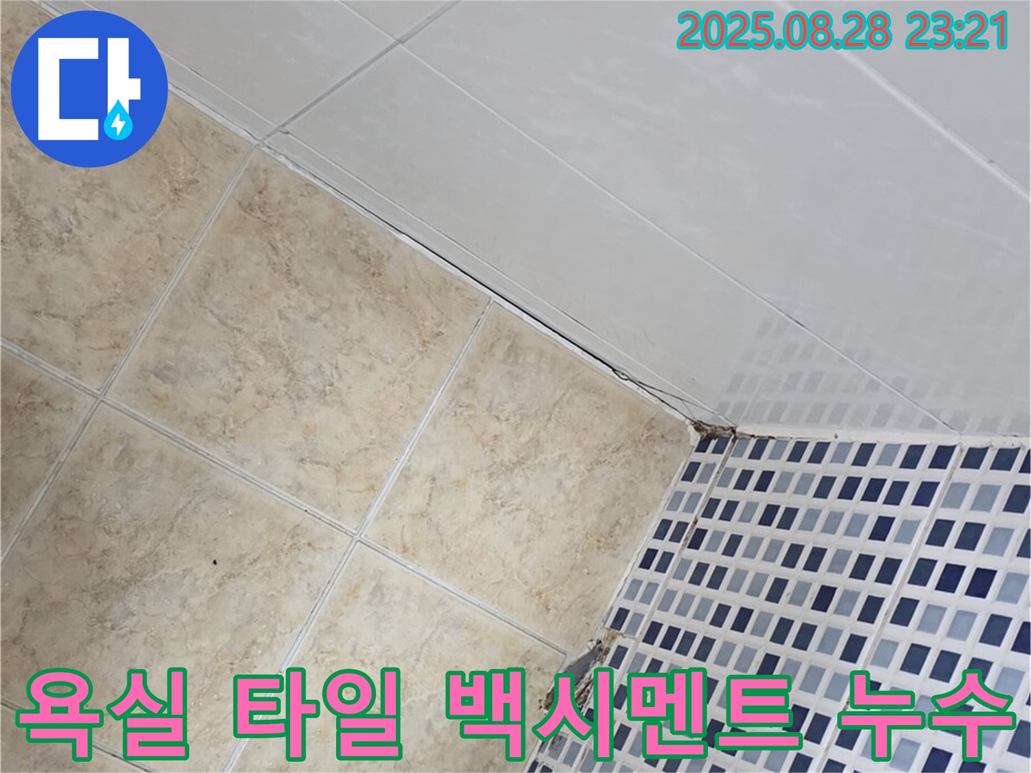 욕실 타일 틈새 백시멘트 손상으로 인한 누수 - 백시멘트 재시공