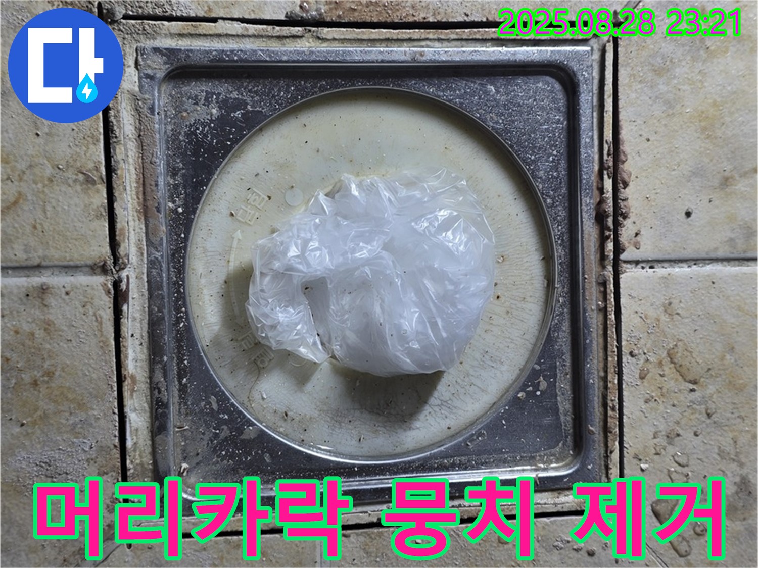 욕실 하수구 막힘 - 머리카락 뭉치 제거 작업