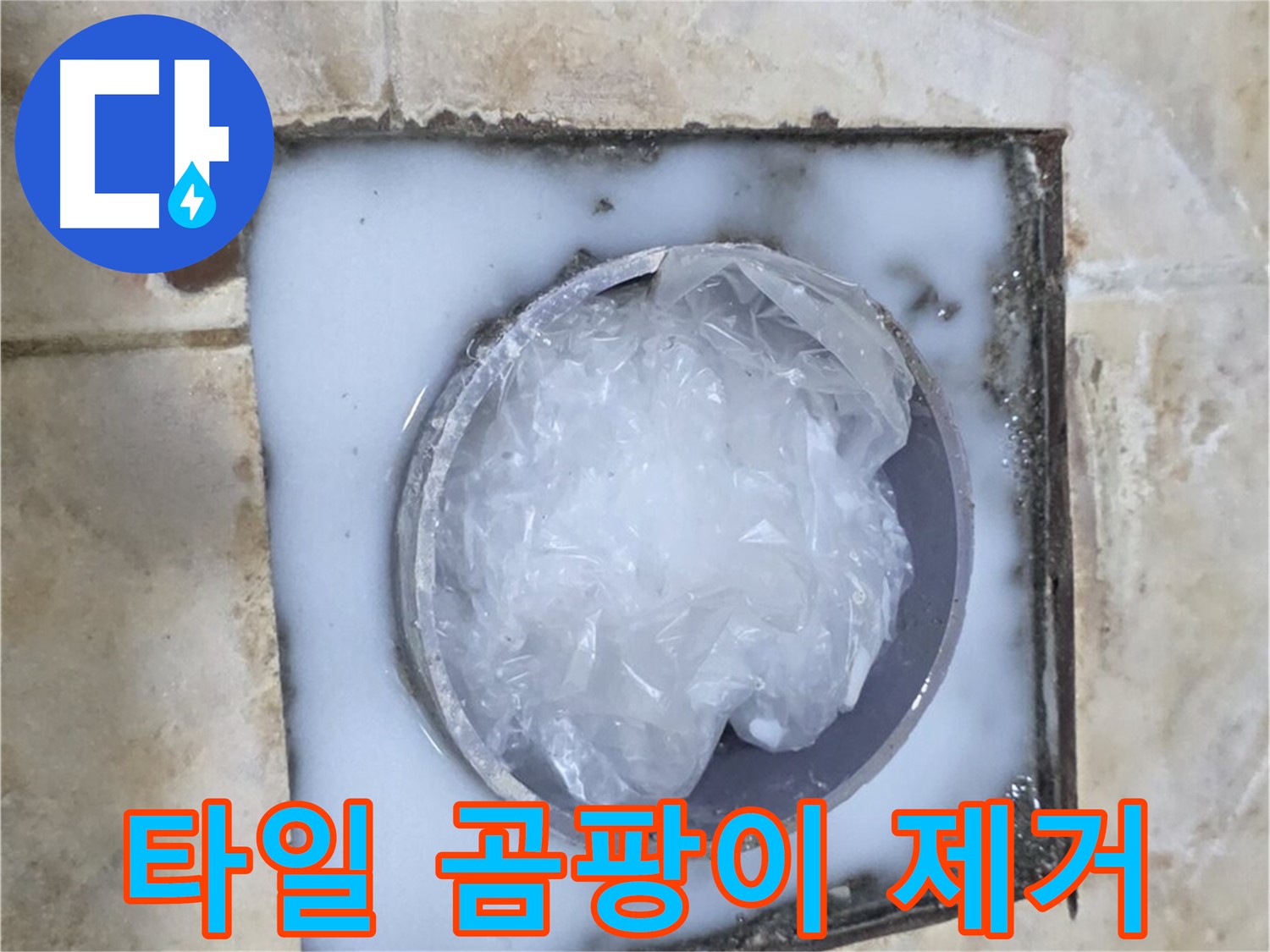 타일 곰팡이 - 깨끗하게 제거하는 과정