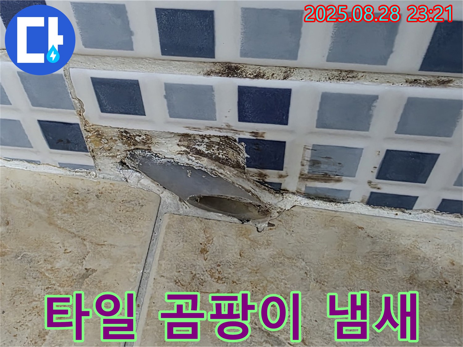 타일 곰팡이 - 냄새