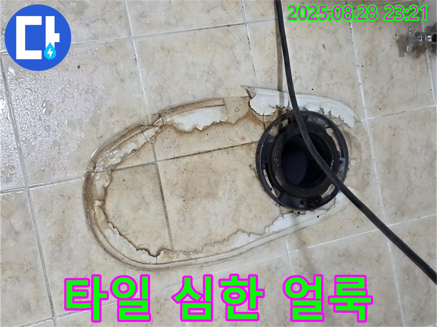 타일 얼룩 - 누수 장기화