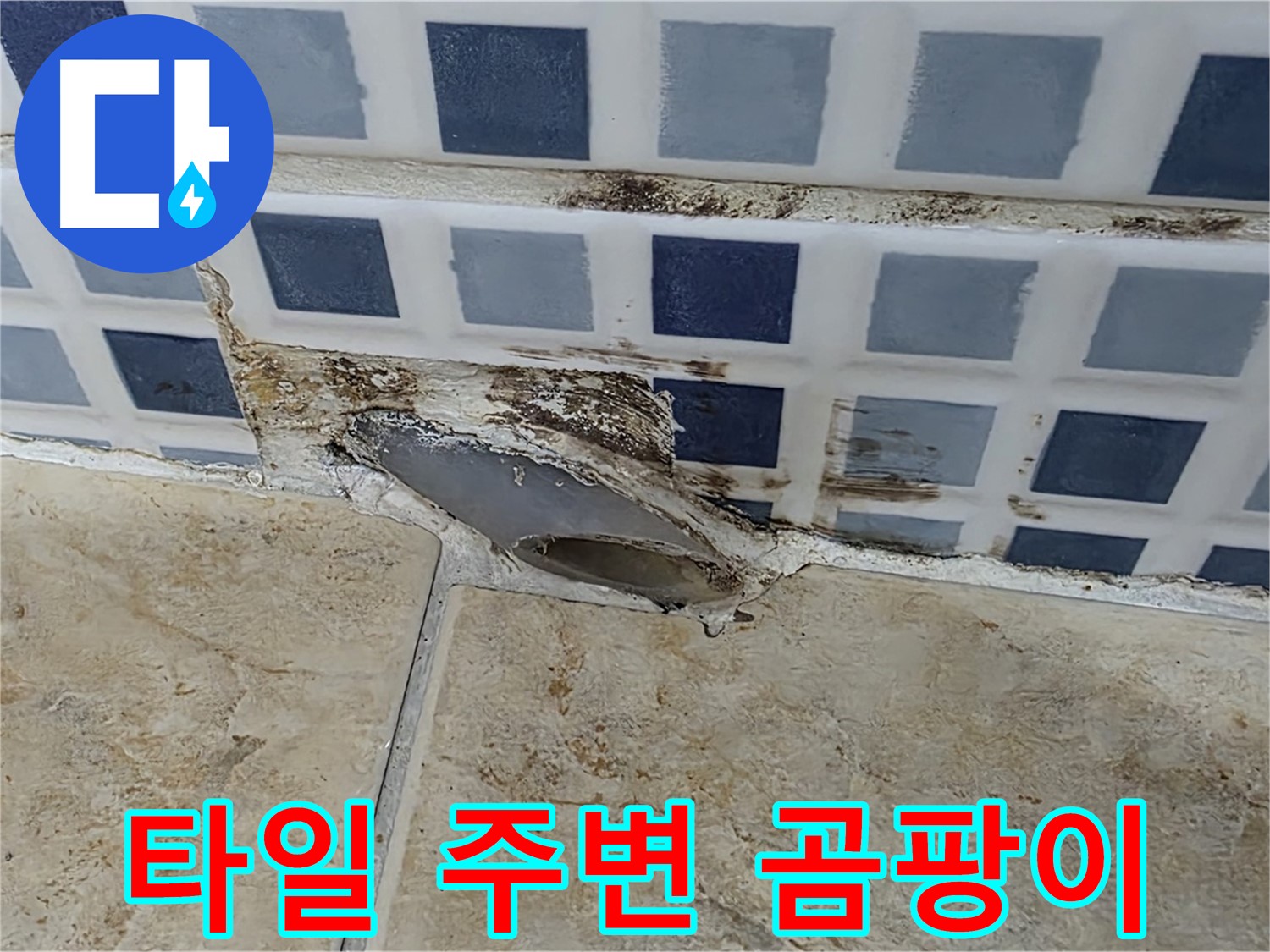 타일 주변 곰팡이 - 누수 신호일 수 있습니다