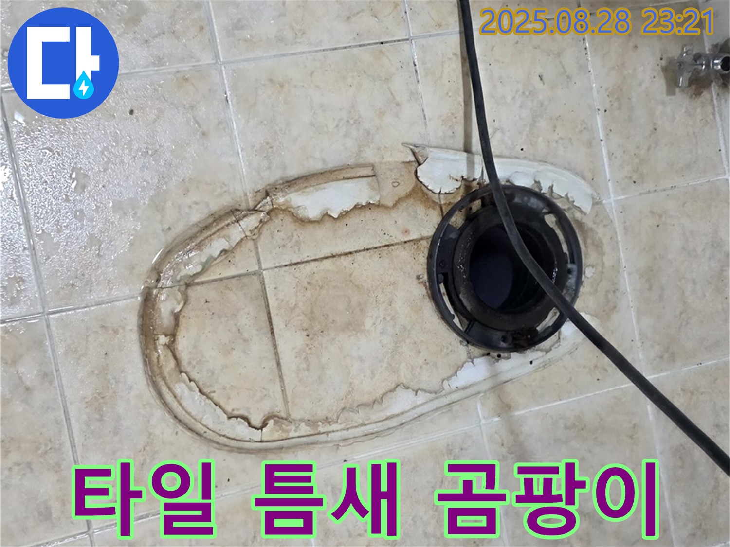 타일 틈새 곰팡이 - 건강 위협