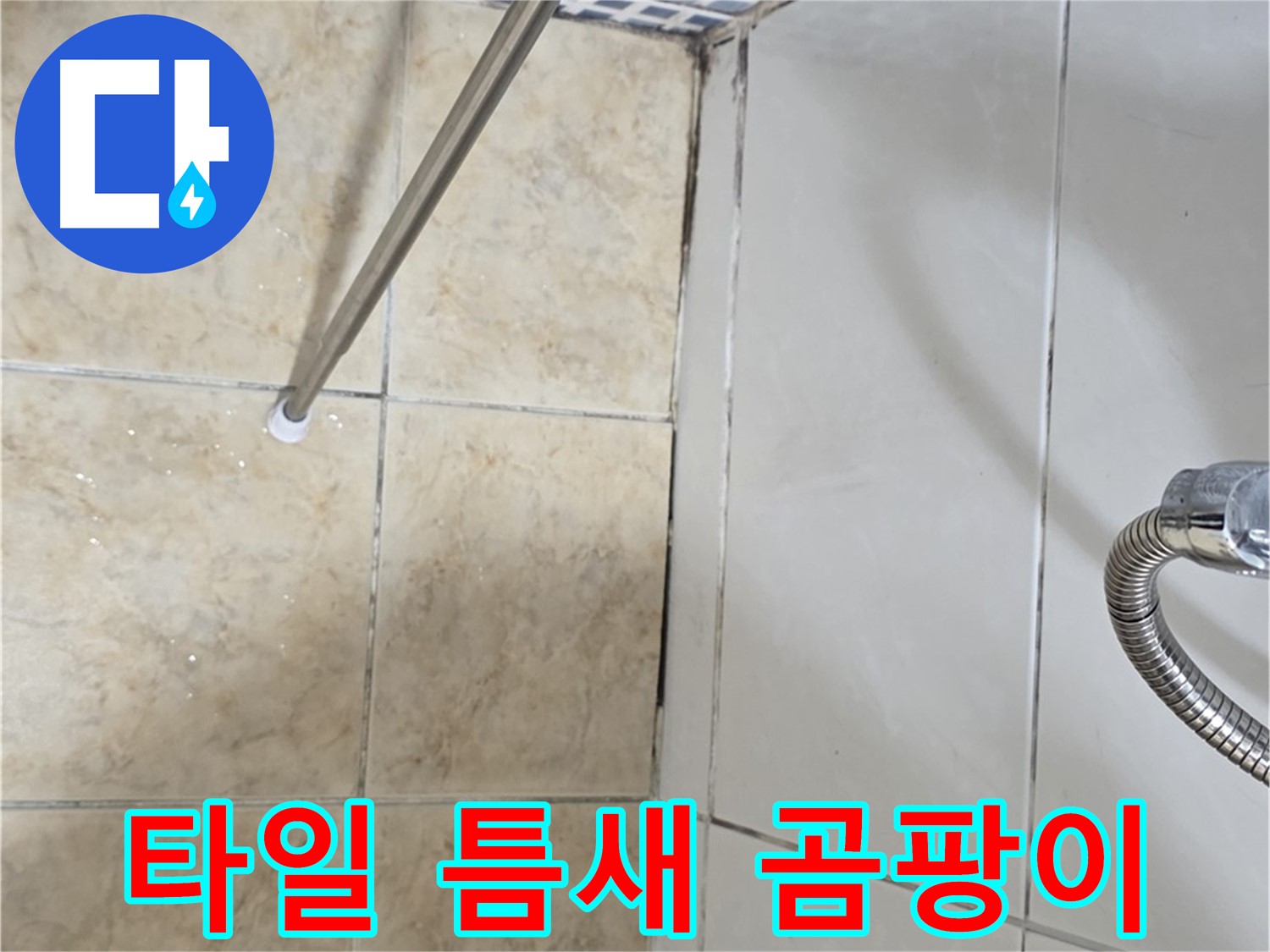 타일 틈새 곰팡이 - 누수 초기 증상 - 빠른 진단
