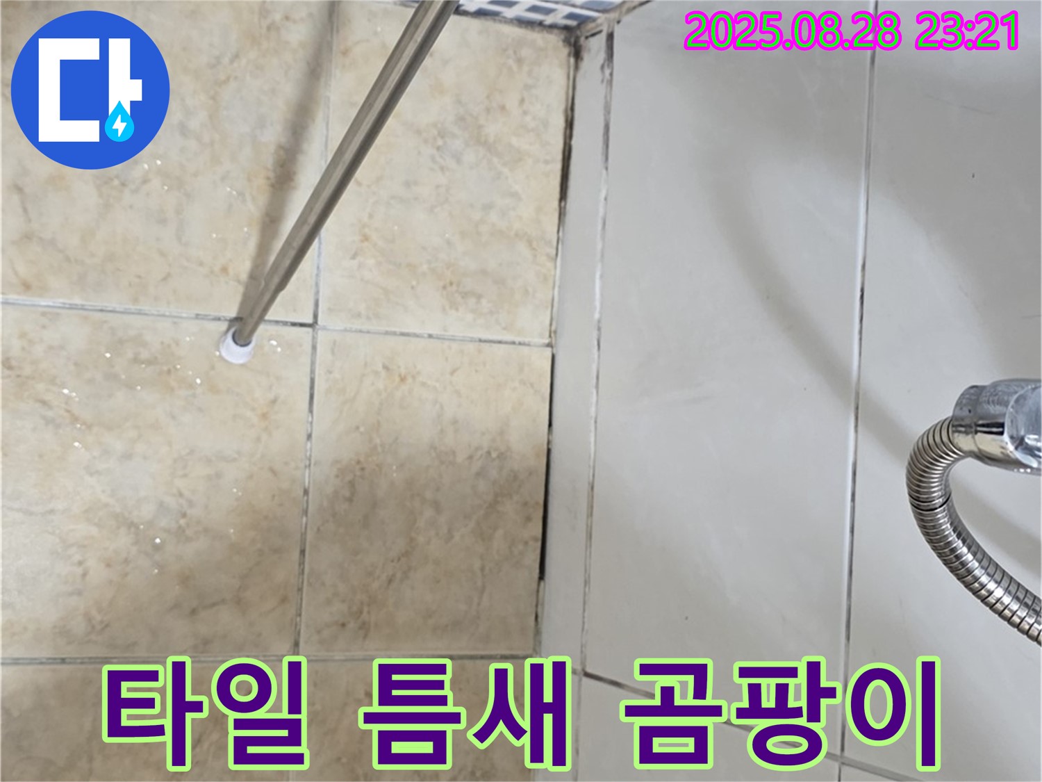 타일 틈새 곰팡이 - 습기로 인한 곰팡이 발생 및 누수
