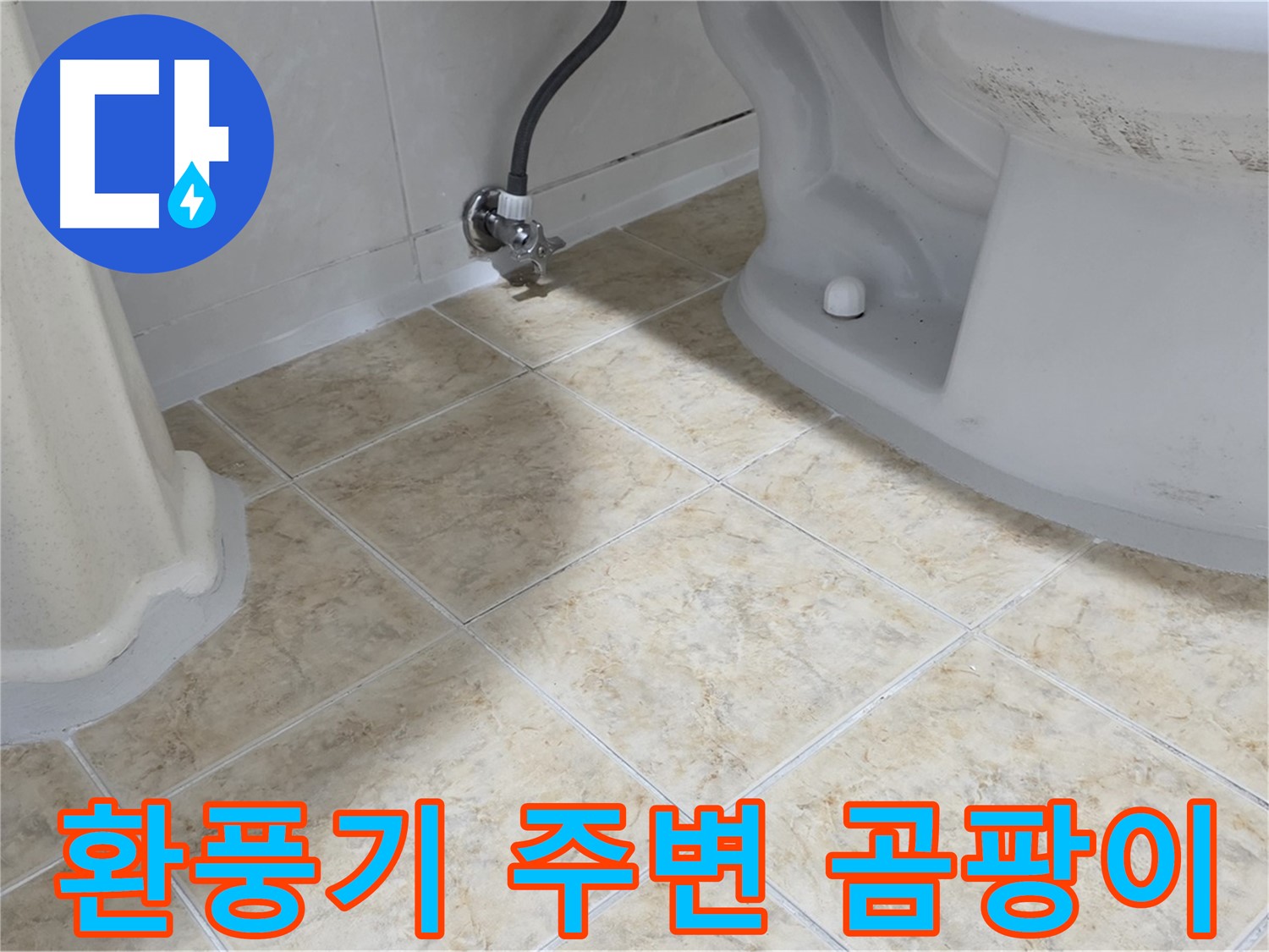 환풍기 주변 곰팡이 - 습기로 인한 벽 곰팡이