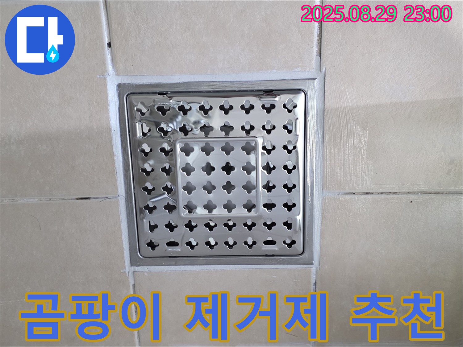 양주 백석 서광아파트 욕실 - 배수구 주변 타일 사이 곰팡이, 어떤 제거제가 효과적일까요?