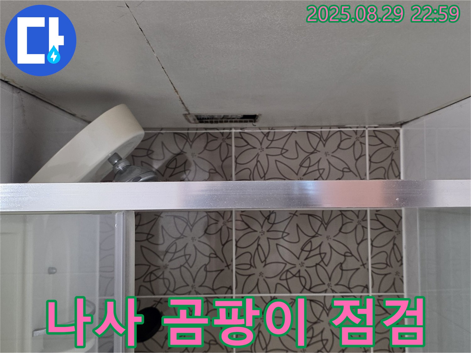 양주 서광아침의빛아파트 욕실 - 샤워기 벽 고정 나사 주변 실리콘 손상 및 곰팡이 점검 사진