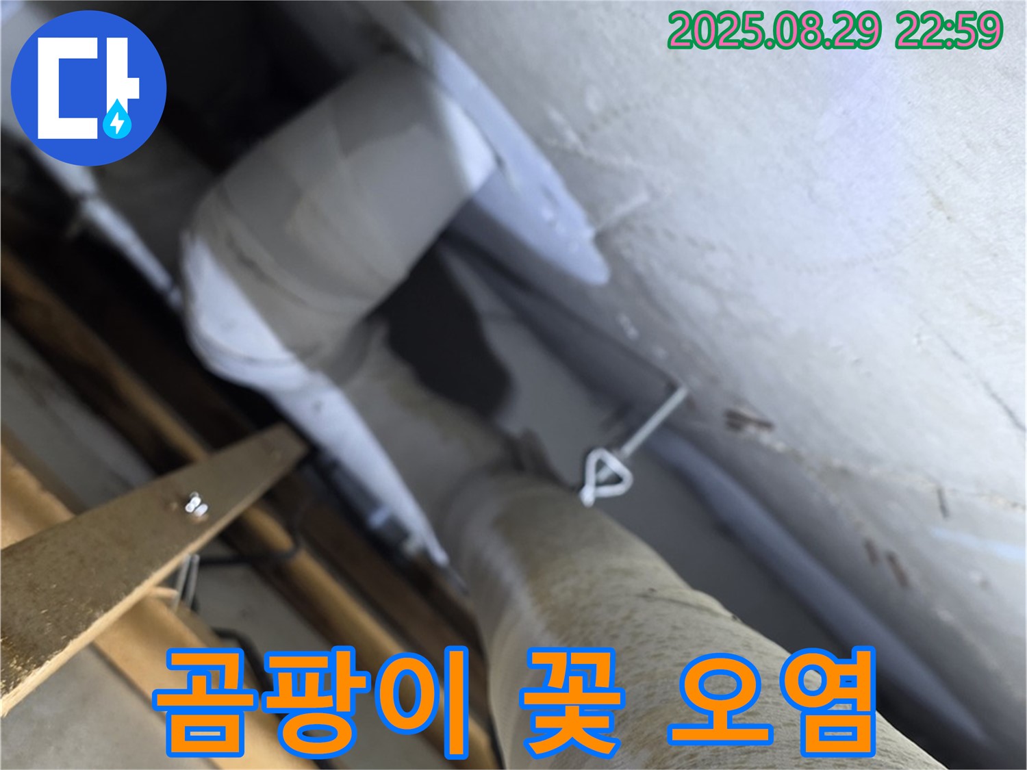 양주 서광아파트 104동 천장 배관 곰팡이 꽃 핀 보온재 - 심각하게 오염되었습니다.