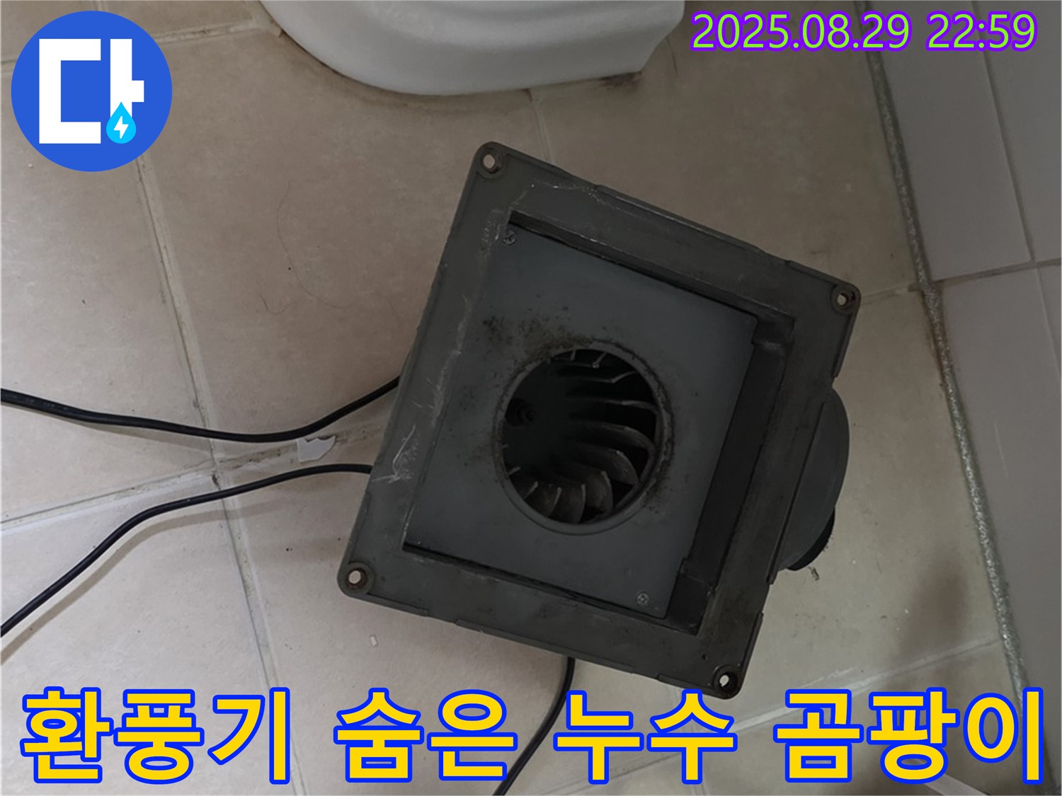 양주 서광아파트 - 욕실 환풍기 속 숨겨진 누수, 곰팡이까지 득실득실!