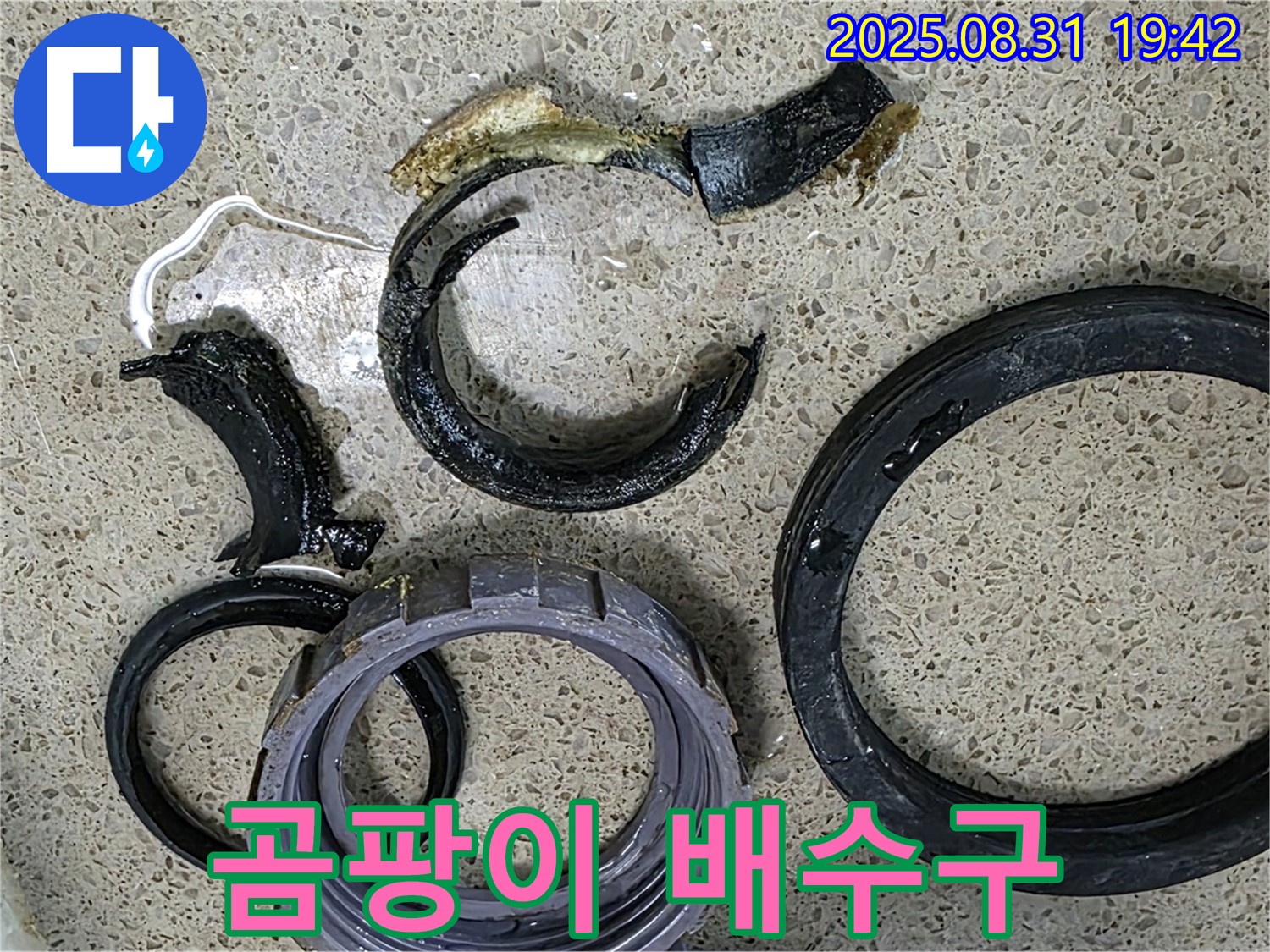 곰팡이 득실거리는 싱크대 배수구 - 청소와 부품 교체가 필수입니다.