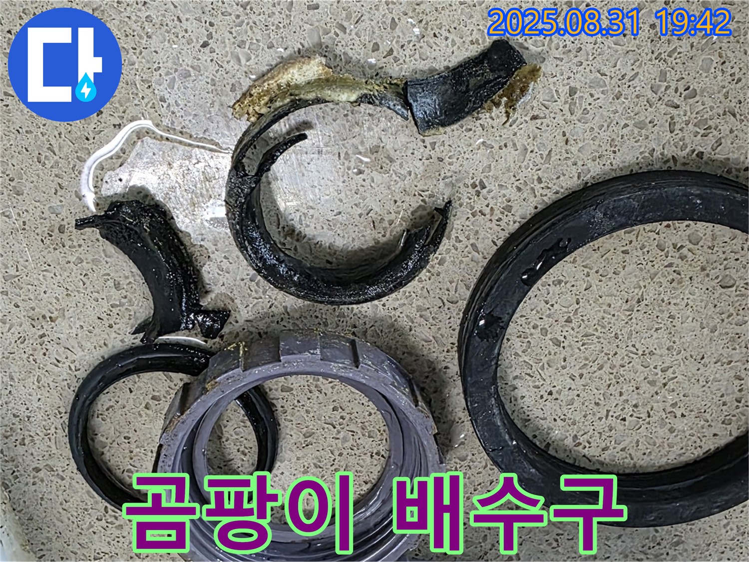 곰팡이 배수구 - 이별 선언