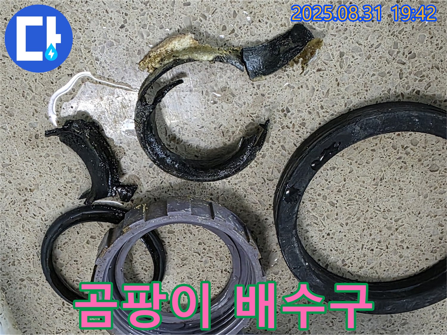 곰팡이와 물때로 뒤덮인 싱크대 배수구 - 위생 문제