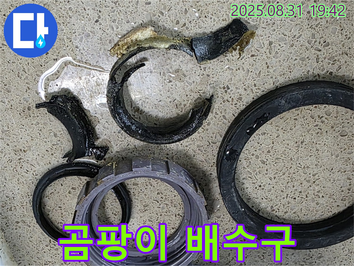 곰팡이와 악취 배수구 - SOS