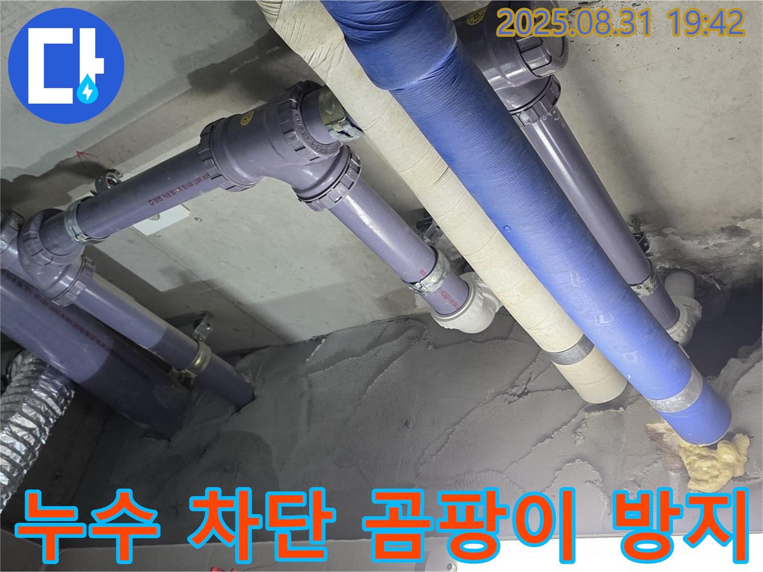 누수 차단 - 곰팡이 걱정 없이 쾌적하게!