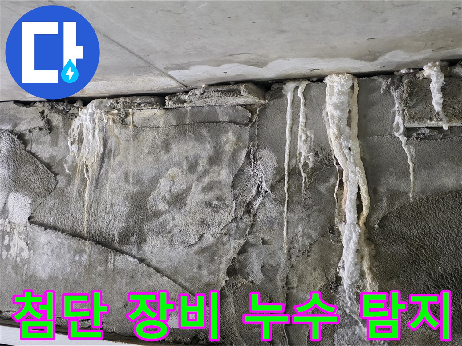 분당 누수 탐지 - 첨단 장비로 숨은 누수 완벽 해결