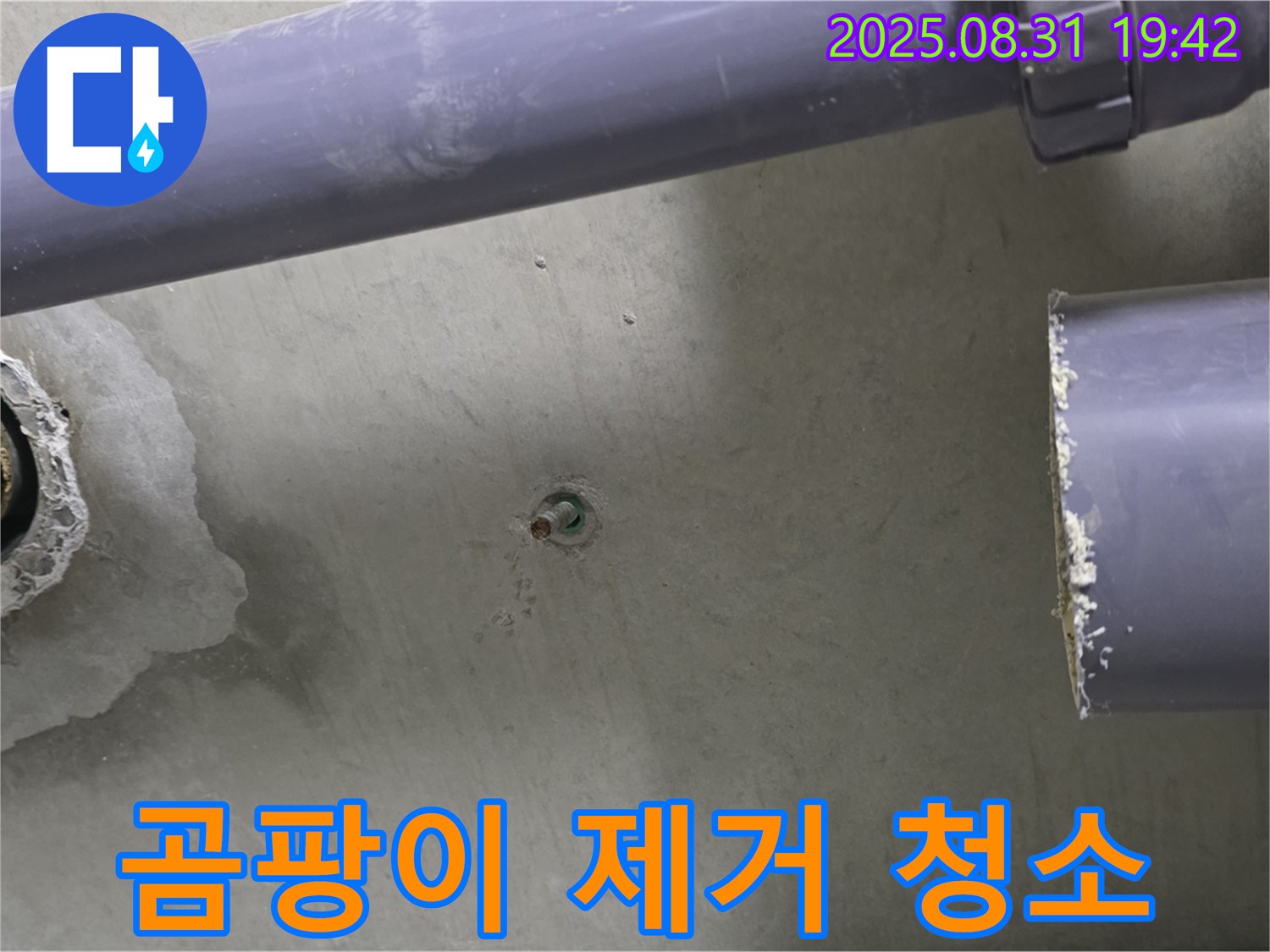 분당 운중동 산운마을 아파트 누수 - 배관 주변의 곰팡이를 제거하고 깨끗하게 청소하고 있습니다.