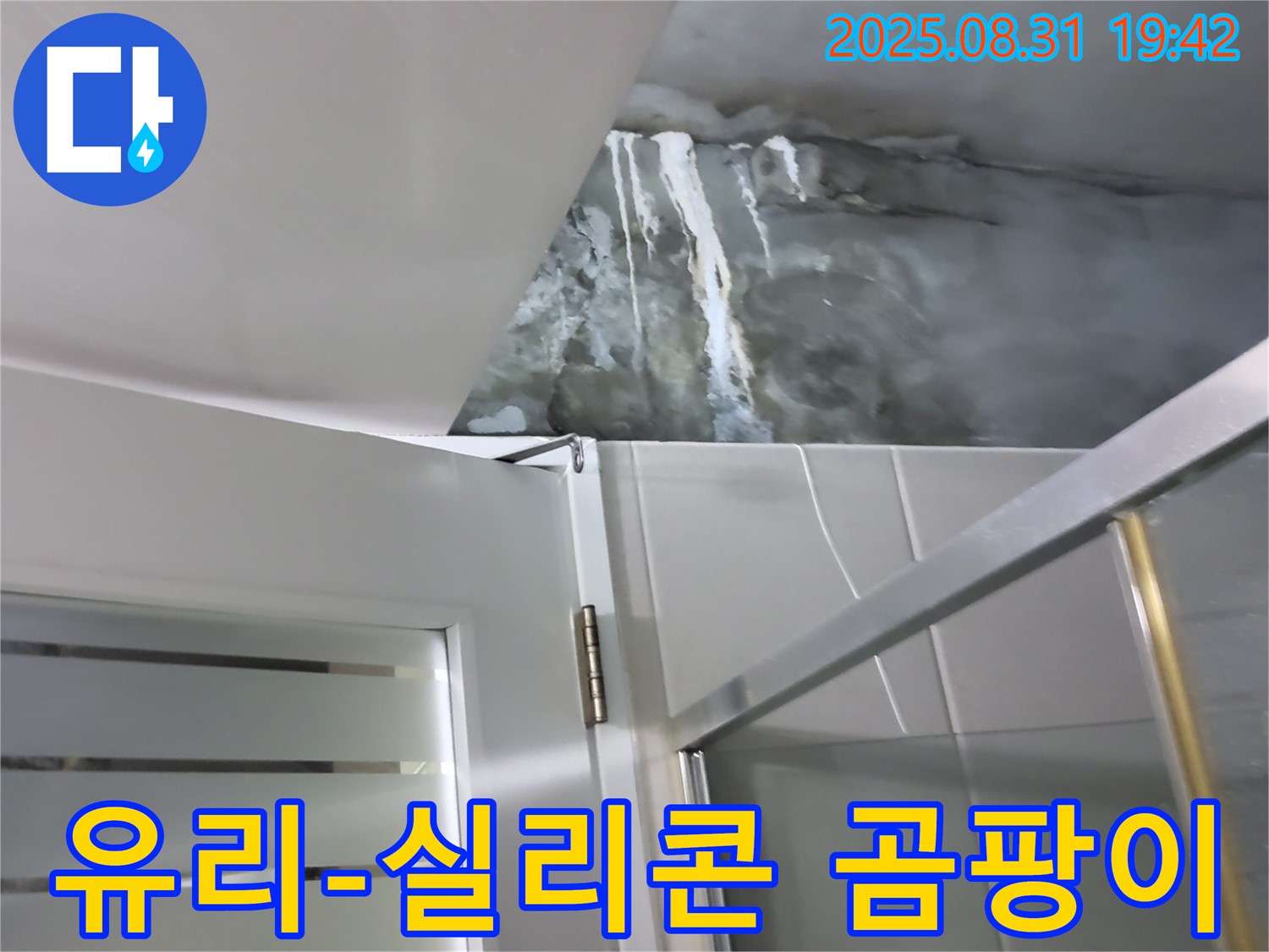 분당 운중동 - 샤워부스 유리와 실리콘 사이 곰팡이 - 곰팡이 제거 및 실리콘 재시공으로 깨끗하게!