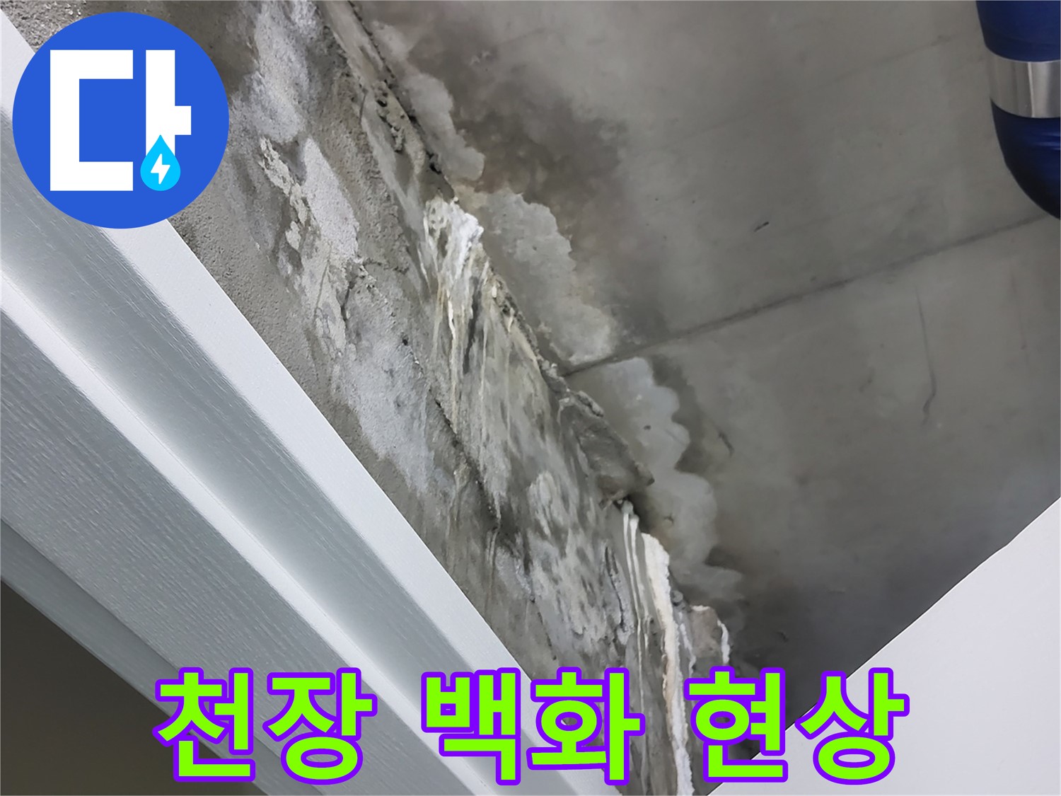 분당 운중동 - 천장 백화 현상 - 누수 초기 증상 의심