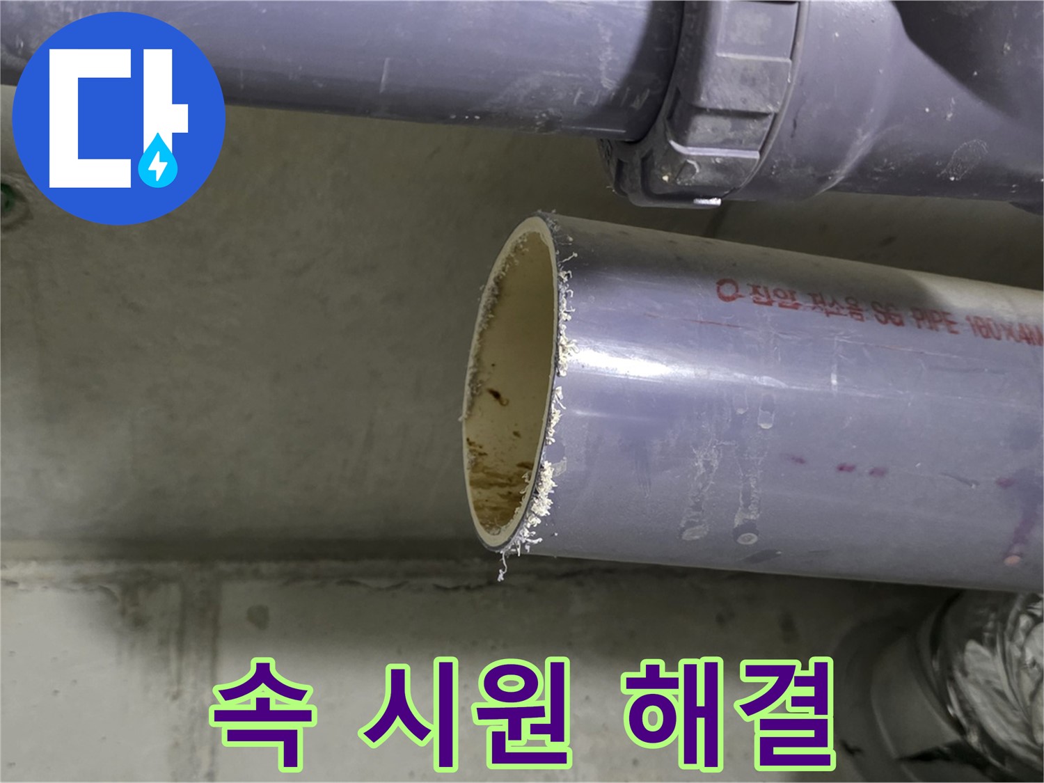분당구 정자동 누수 현장 - 누수 문제를 해결하고 있는 전문가의 모습 - 속 시원한 해결을 약속합니다.