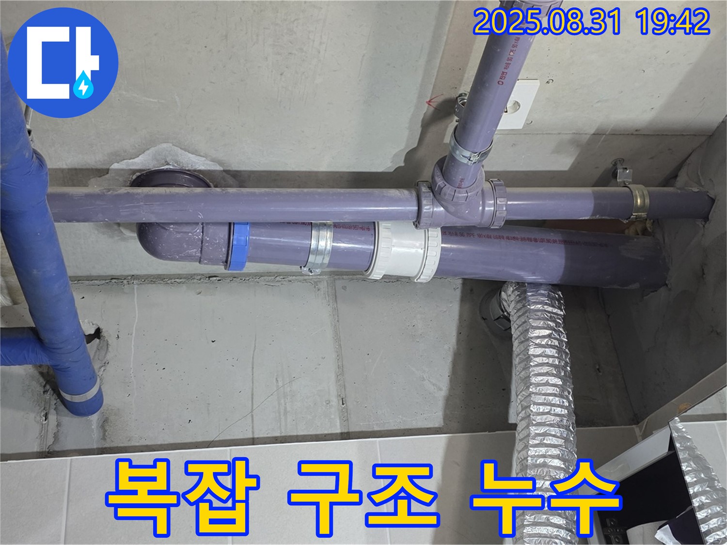 산운마을 아파트 - 세탁실 천장 복잡한 배관 구조 - 누수 전문가가 꼼꼼하게 원인을 파악 중입니다.