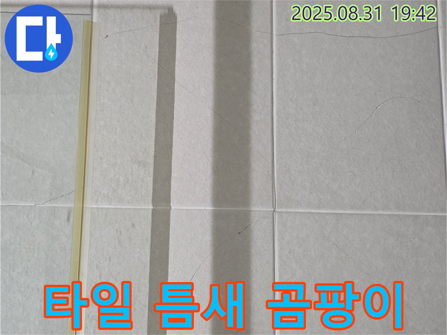 샤워기 옆 타일 틈새 - 곰팡이 자생력 테스트!
