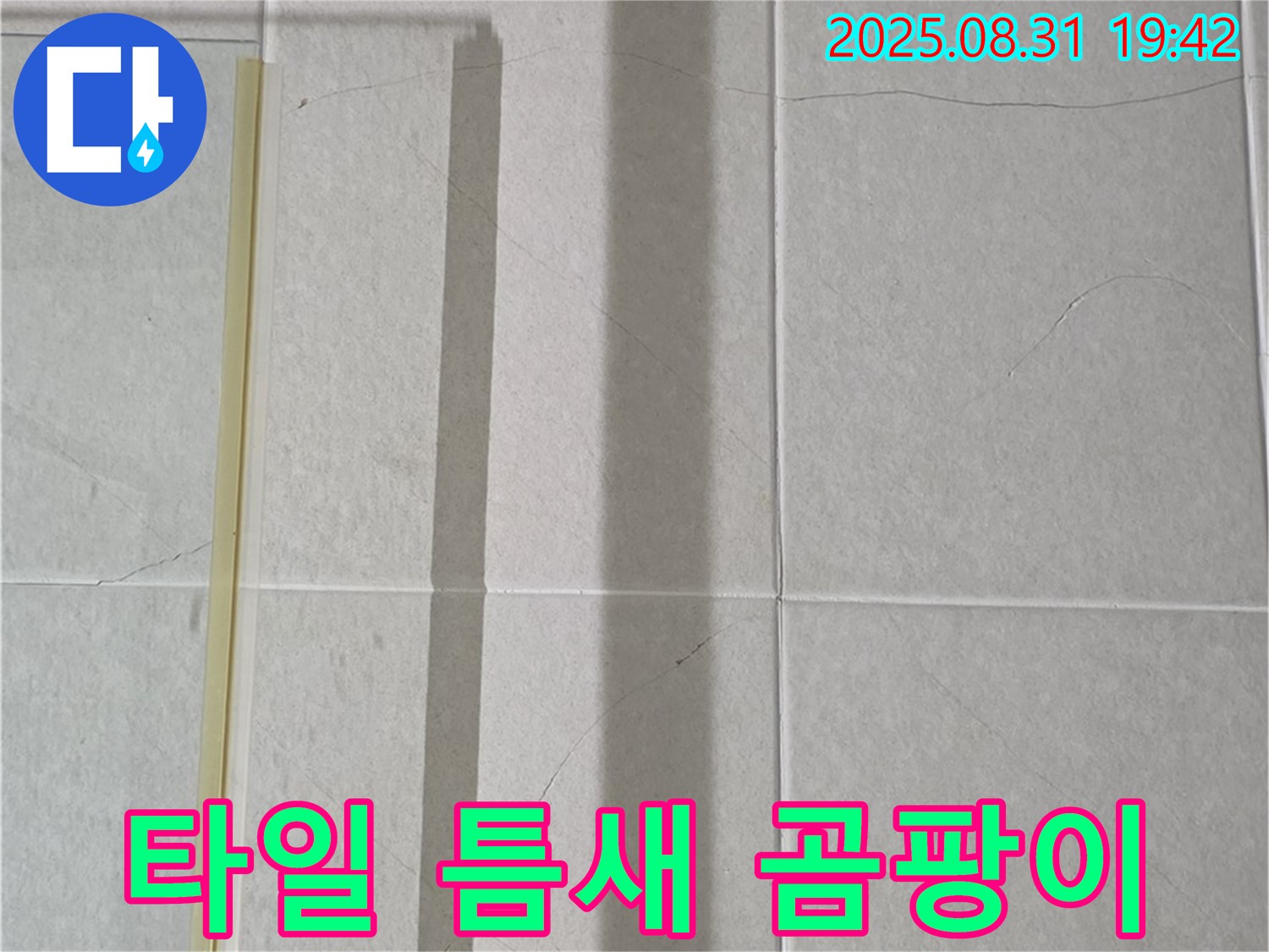 샤워기 옆 타일 틈새 - 곰팡이 제국 건설 현장?!