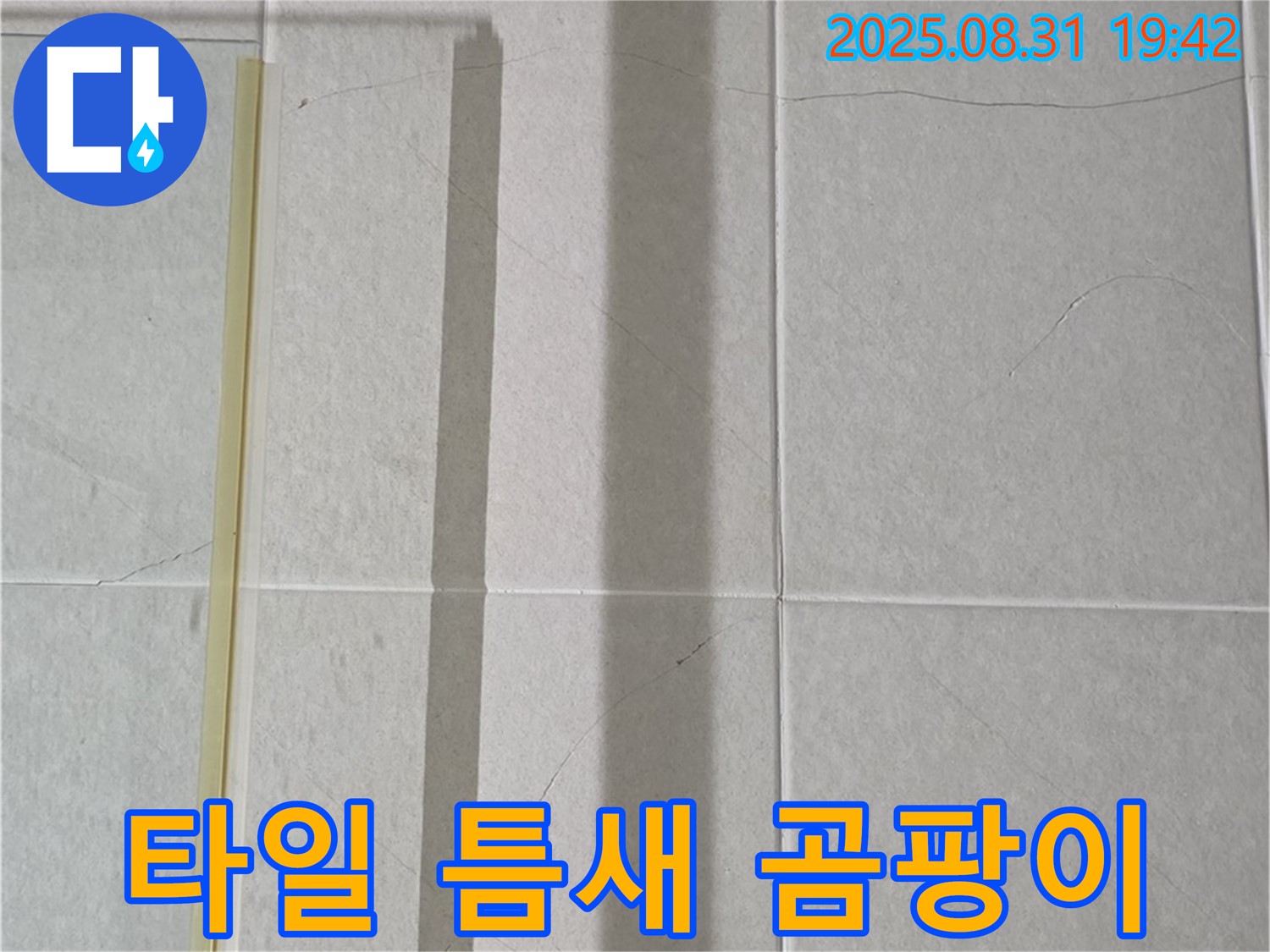 샤워기 옆 타일 틈새 - 곰팡이와의 전쟁 선포!