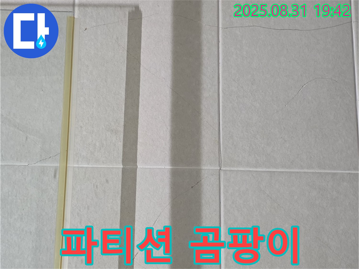 샤워기 파티션 - 곰팡이 아마존, 정글처럼 우거진 모습!