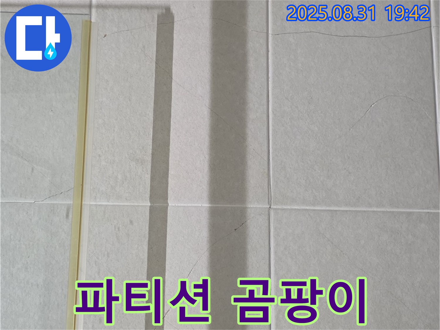 샤워기 파티션 - 곰팡이 아지트가 되어버렸네!