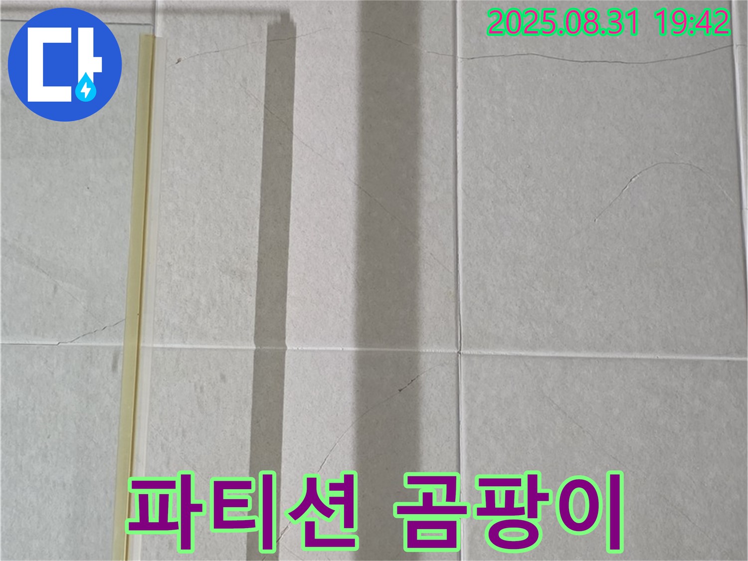 샤워기 파티션 - 곰팡이 정글로 변신 중?!