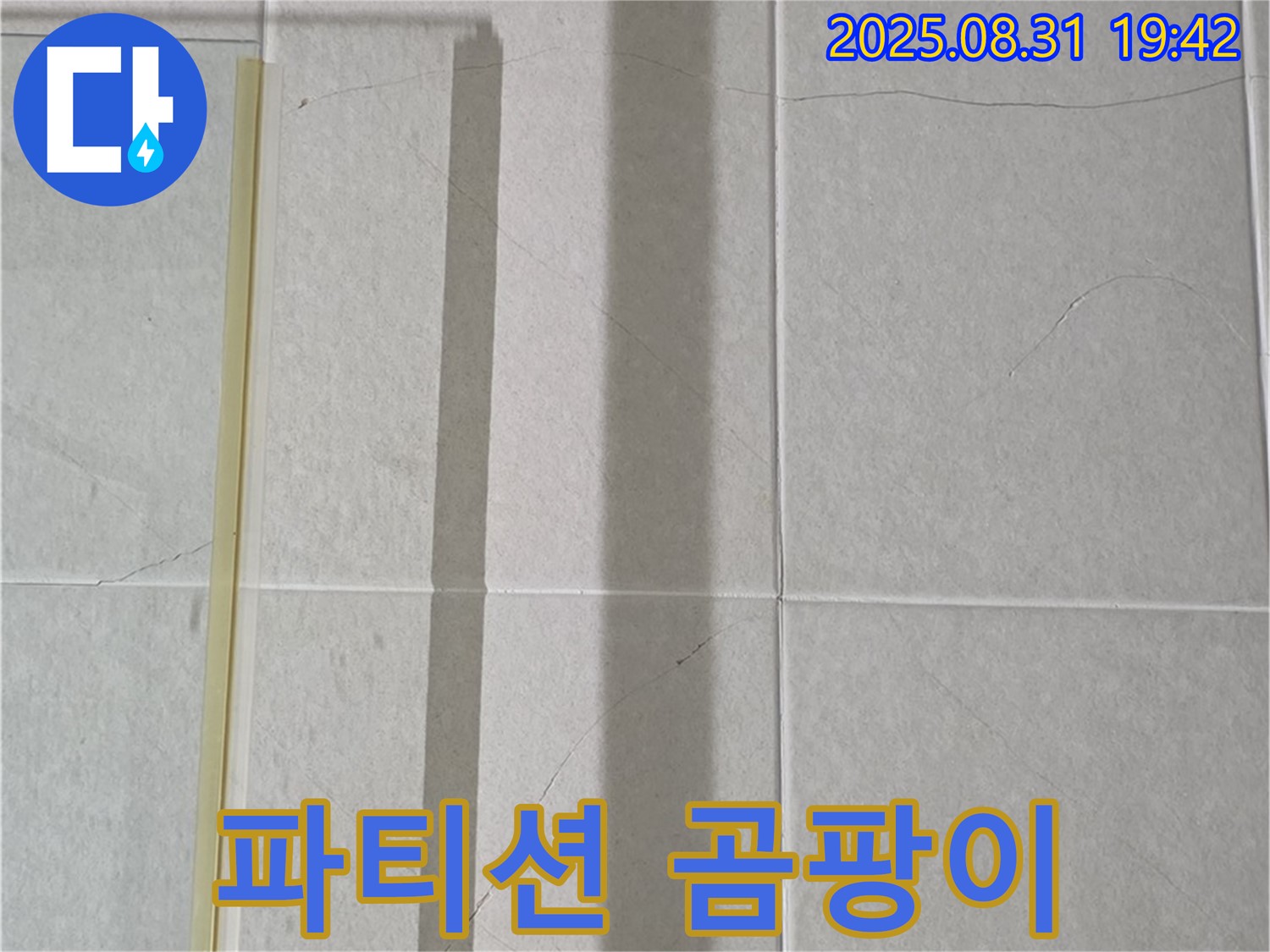 샤워기 파티션 - 곰팡이와의 숨바꼭질은 이제 그만!