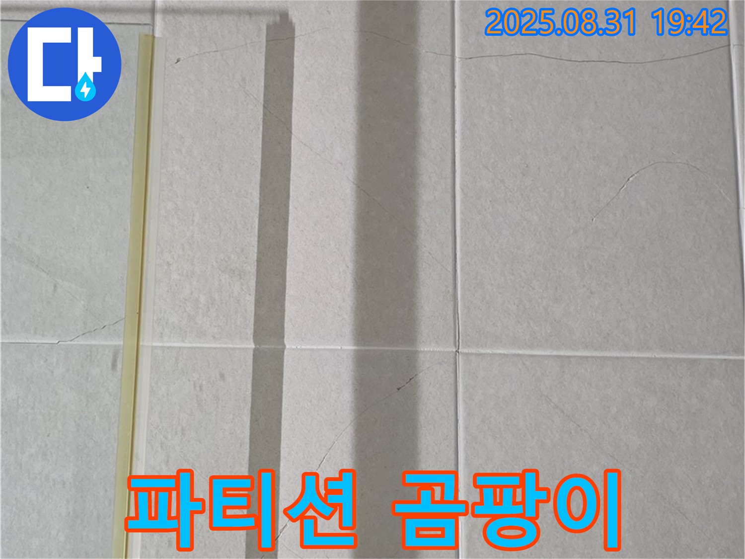 샤워기 파티션 - 곰팡이와의 악몽에서 벗어나세요!